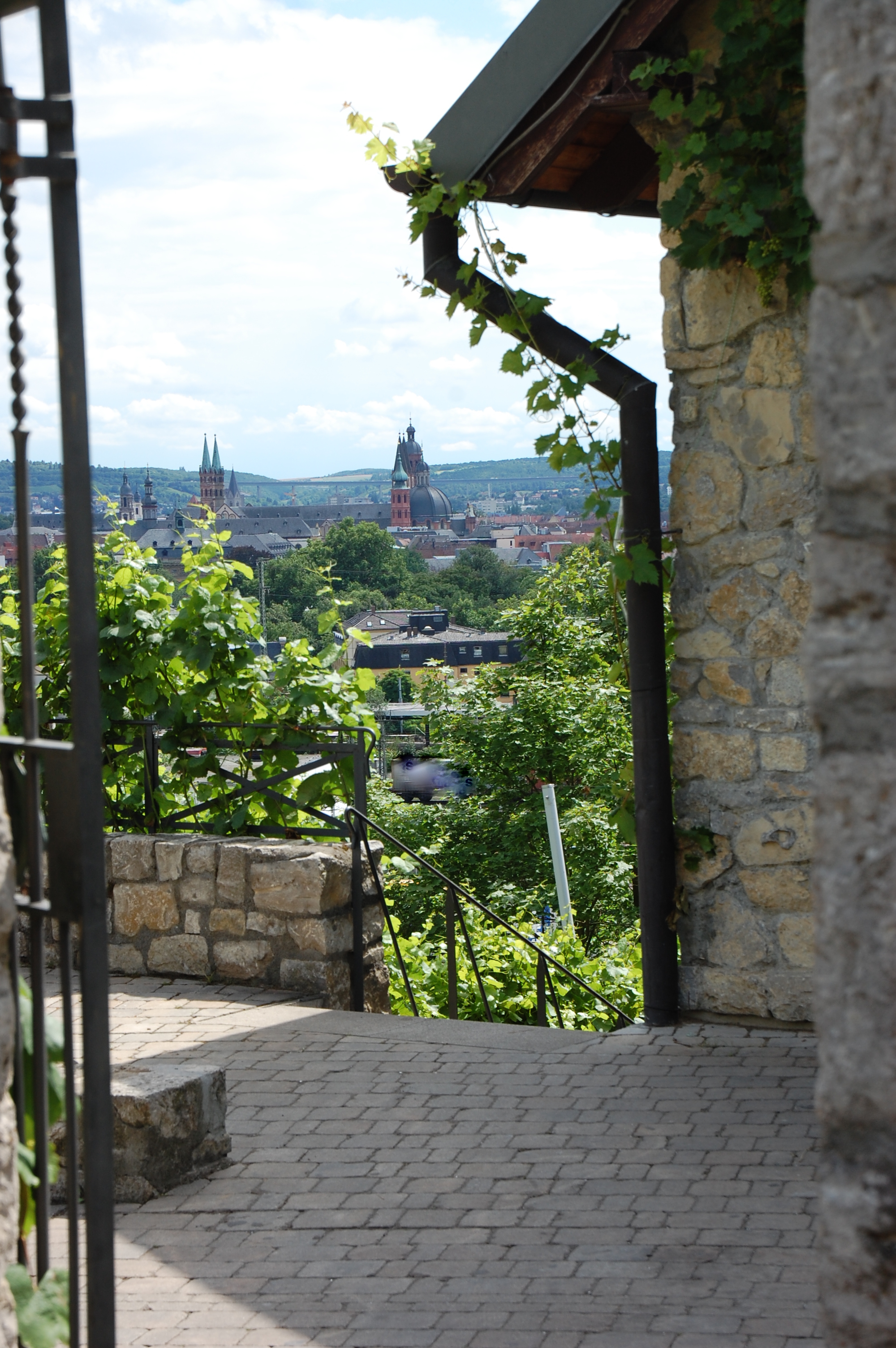 Blick auf Würzburg vom Weingut am Stein