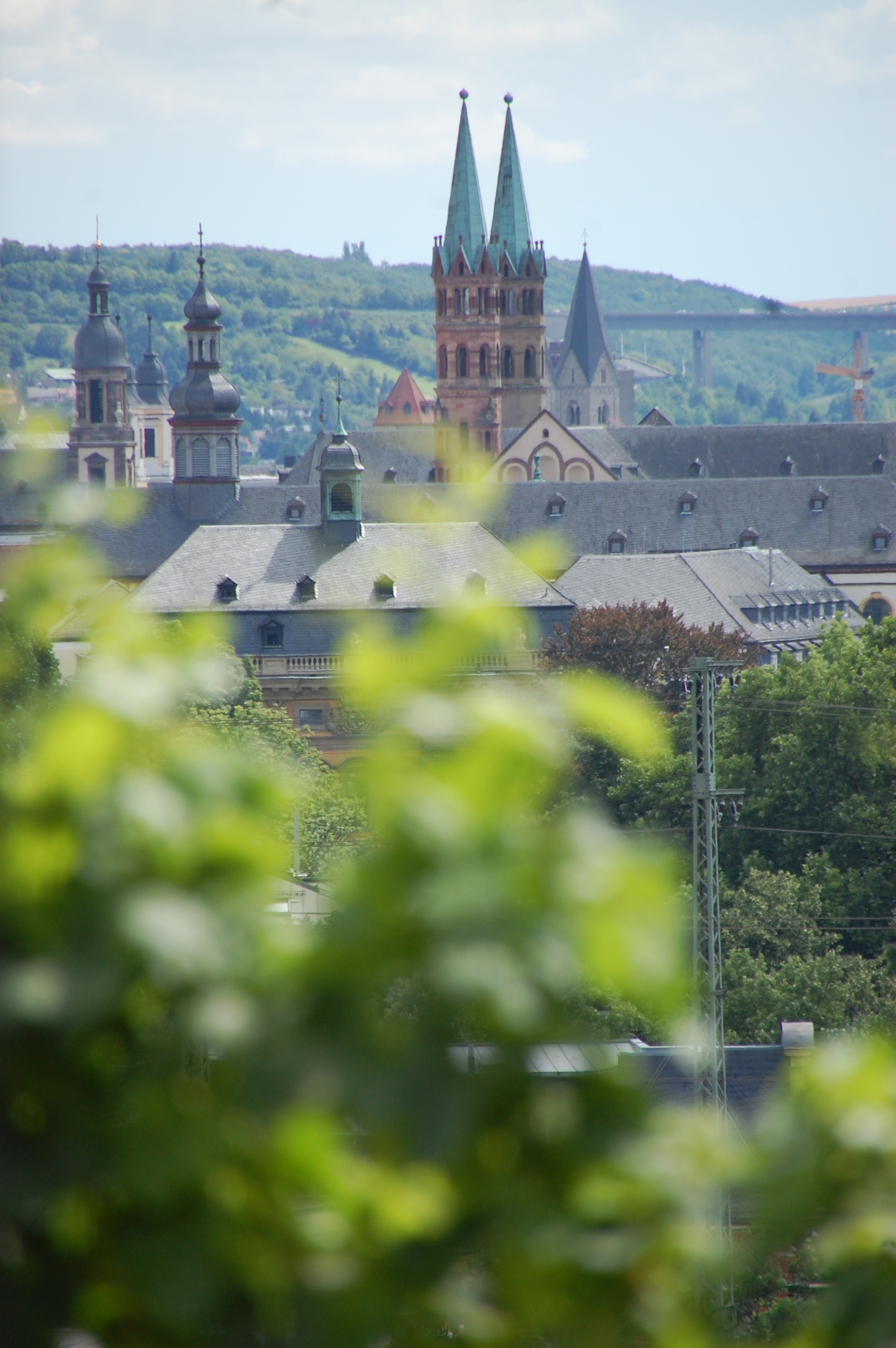 Blick vom Weingut am Stein auf Würzburg